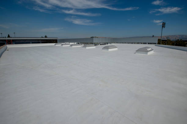 Best Flat Roofing  in Manton, MI