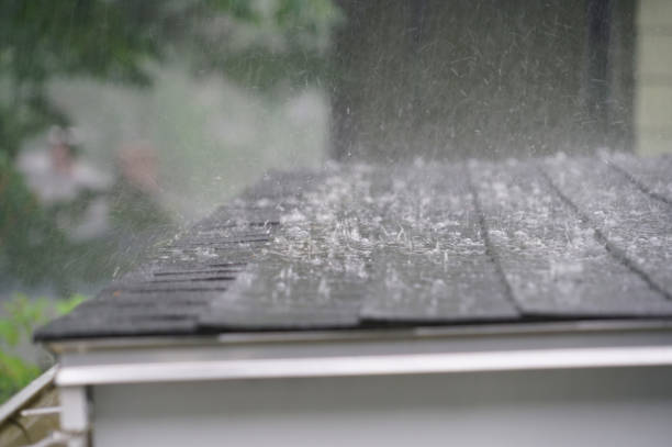 Best Emergency Roof Repair Services  in Manton, MI